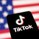 TikTok building new version of app ahead of expected U.S. sale: Report